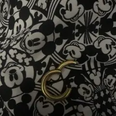 Item thumbnail for item 574b8ddd-4e6e-49f3-a160-a4f653622136