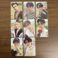 Stray Kids MAXIDENT 封入トレカ 【8枚セット】①