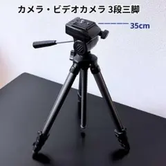 Item thumbnail for item 448404ca-cae1-485a-8193-ef270c76247f
