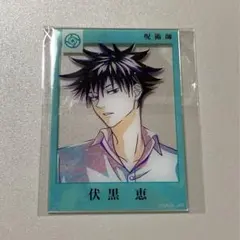 呪術廻戦　呪術師　伏黒恵　Ani-Art アクリルカード　　クリアカード