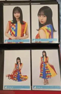 Item thumbnail for item 7da73d4c-2875-419a-a42e-5699ad3926ca