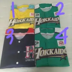 北海道日本ハムファイターズ ユニフォーム お好きな２枚セット