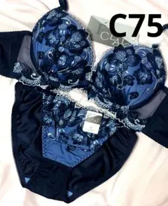 C75 クラッシーフルブルーム育乳脇高ブラジャー&フルバックショーツ