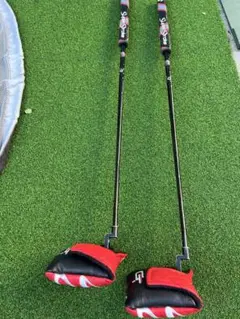 TaylorMadeパターTM1の2本セット