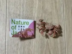 ガチャガチャ ガチャ カプセルトイ 日本のいきもの 03 ケガニ