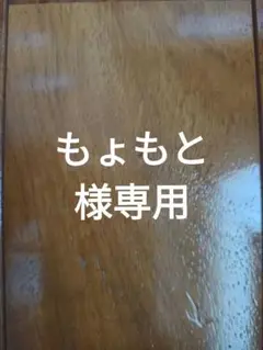 デュエルマスターズ　龍風混成 ザーディクリカ カードスリーブ