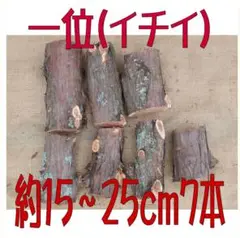 Item thumbnail for item 3af5187b-d3b0-4144-af19-10382735cfe1