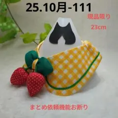 Item thumbnail for item dcbd4318-cbf8-4624-b8ff-f1ce1c2de049