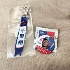 中田翔 ミニボンフィン、缶バッジ