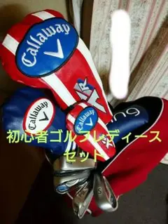 【早い者勝ち】初心者ゴルフレディースセット(キャディバッグ付き)