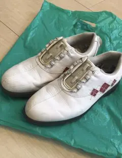 フットジョイゴルフシューズ