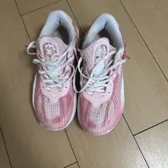 リゴラー AR1 バレンタインデー
