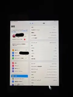 Apple iPad (第8世代) スペースグレー