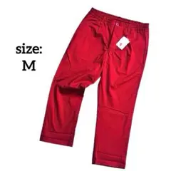 Item thumbnail for item f3c7d44a-af15-4584-87f7-f475ce73ee57