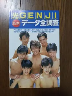光GENJIミニ冊子2