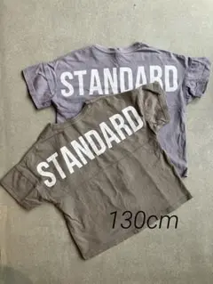 devirock 半袖Tシャツ 130cm バックロゴ 2枚セット