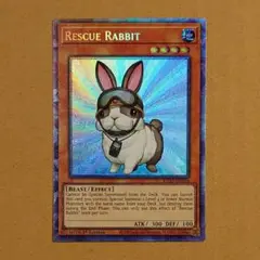 【やまなか】レスキューラビット 英語 1st PHSW シク 3枚セット 2025年最新】レスキュー・ラビット 1stの人気アイテム - メルカリ