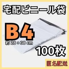 Item thumbnail for item 13e38f62-97b5-4b56-97e4-479644700d84