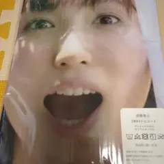 吉木りさ　両面抱き枕カバー160cm×50cm 新品未使用