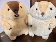 marmot ぬいぐるみ　2種
