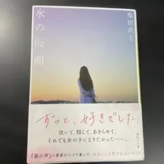 小説 本 氷の仮面 塩田武士　講談社文庫