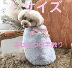 Item thumbnail for item 60743b55-ff96-4d1d-bc35-1f46d06f1914