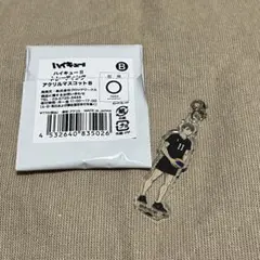 ハイキュー!! トレーニング アクリルマスコットB 宮治