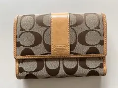 Item thumbnail for item 68b89a47-a606-4860-b32b-56e00db4be34