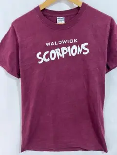 【ジャージーズ】WALDWICK SCORPIONS Tシャツ バーガンディ　夏
