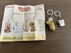 クオッカ　ガチャ