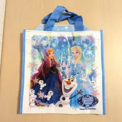 ディズニーランド　アナと雪の女王　スーベニアバッグ