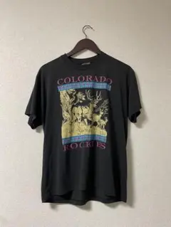 80s ヘインズ　Hanes Tシャツ　シングルステッチ