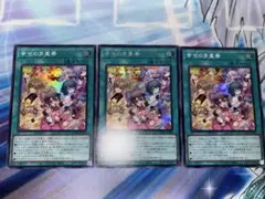 幸せの多重奏　シク1スーパー2