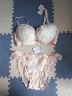 Risa Magli　ブラジャー・ショーツセット　E70　Lサイズ