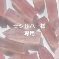 ☆シルバー様 リクエスト 2点 まとめ商品