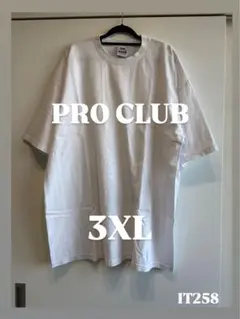 PRO CLUB ヘビーウェイト 無地Tシャツ ホワイト 3XL
