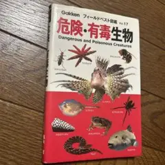 Item thumbnail for item 0f07a401-b84b-4296-bbb1-006f21bffd5f