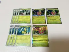 ポケモンカード メガシンフォニア　進化　チコリータ　ベイリーフ　メガニウム