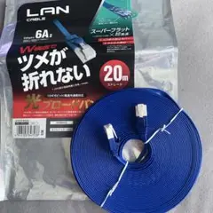 【新品 未使用 】ELECOM　LANケーブル [20m カテゴリー6A ]