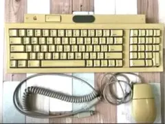 【レア】Apple純正 ヴィンテージキーボード＆マウスセット 約20年前使用