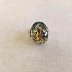 水中花 リング