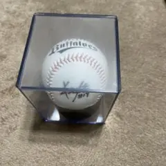 オリックス　金子千尋　直筆サイン
