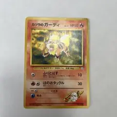カツラのガーディ ポケモンジム第3弾 グレンタウンジム カツラ