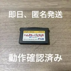 ★ ハムスター パラダイス ゲームボーイアドバンス