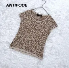 【アンティポード】ヒョウ柄 半袖ニット カットソー M ベージュ系 春夏