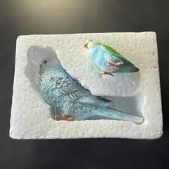 リアルセキセイインコ 置物　小さいおまけつき