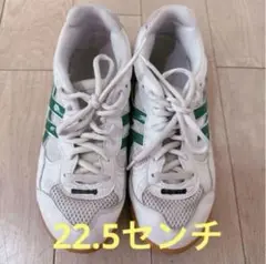BONNY ボニー　体育館シューズ　上履き　室内シューズ　緑ライン　22.5