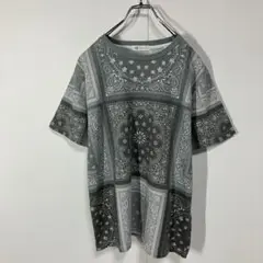 半袖Tシャツ　ペイズリー　クルーネック　古着