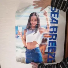 2025年最新】安室奈美恵 ポスター シーブリーズの人気アイテム