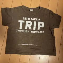 DILASH ブラウン Tシャツ 120
